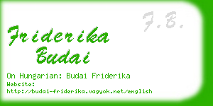 friderika budai business card